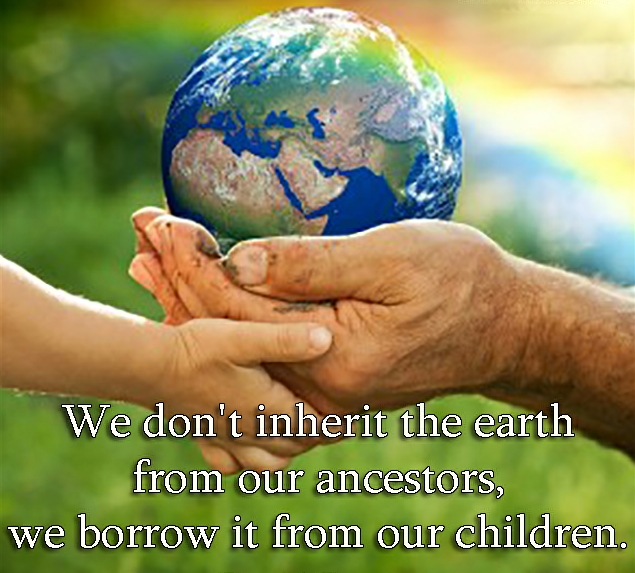 With Your Help, Here’s What We Accomplished In 2024